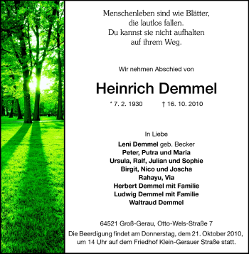 Traueranzeige von Heinrich Demmel von Rüsselsheimer Echo, Groß-Gerauer-Echo, Ried Echo