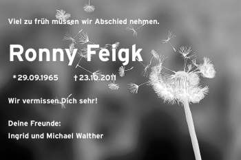 Traueranzeige von Ronny Freigk von Echo-Zeitungen (Gesamtausgabe)