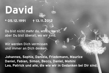 Traueranzeige von David Hemberger von Odenwälder Echo