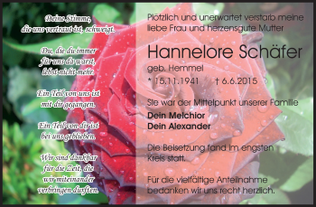 Traueranzeige von Hannelore Schäfer von Darmstädter Echo