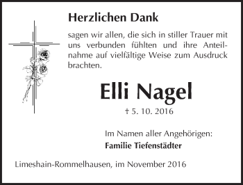 Traueranzeige von Elli Nagel von  Kreisanzeiger