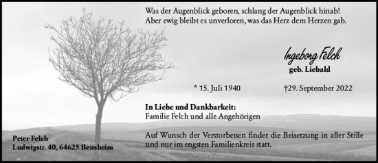 Traueranzeige von Ingeborg Felch von vrm-trauer Darmstädter Echo