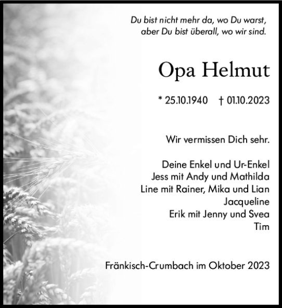 Traueranzeige von Helmut  von Odenwälder Echo