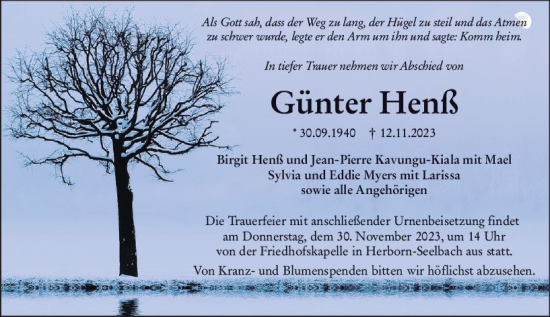 Traueranzeige von Günter Henß von Dill Block Traueranzeige von Günter Henß von Dill Block