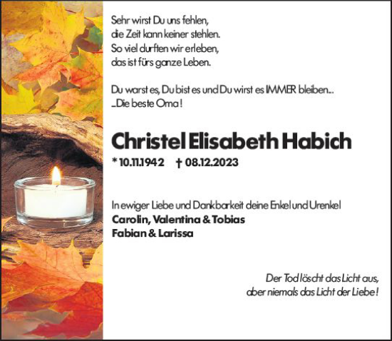 Traueranzeige von Christel Elisabeth Habich von Darmstädter Echo