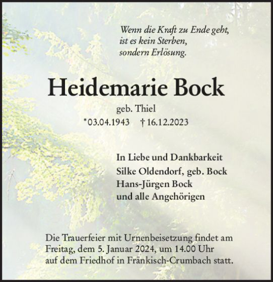 Traueranzeige von Heidemarie Bock von Odenwälder Echo