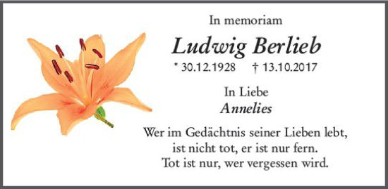 Traueranzeige von Ludwig Berlieb von Darmstädter Echo