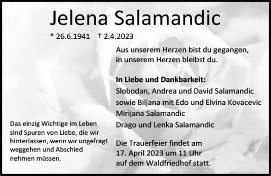 Traueranzeige von Jelena Salamandic von Darmstädter Echo