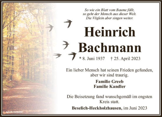 Traueranzeige von Heinrich Bachmann von Nassauische Neue Presse