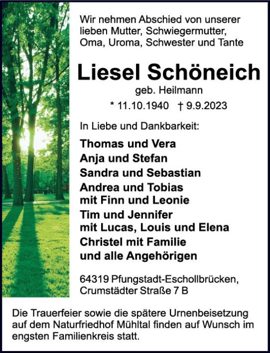 Traueranzeige von Liesel Schöneich von Darmstädter Echo