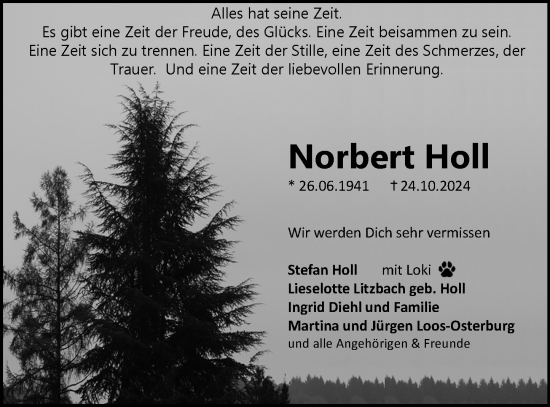 Traueranzeige von Norbert Holl von Wetzlarer Neue Zeitung