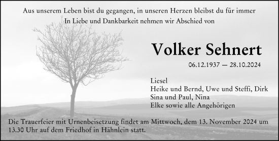 Traueranzeige von Volker Sehnert von Darmstädter Echo