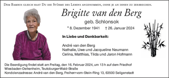 Traueranzeige von Brigitte van den Berg von Wiesbadener Kurier