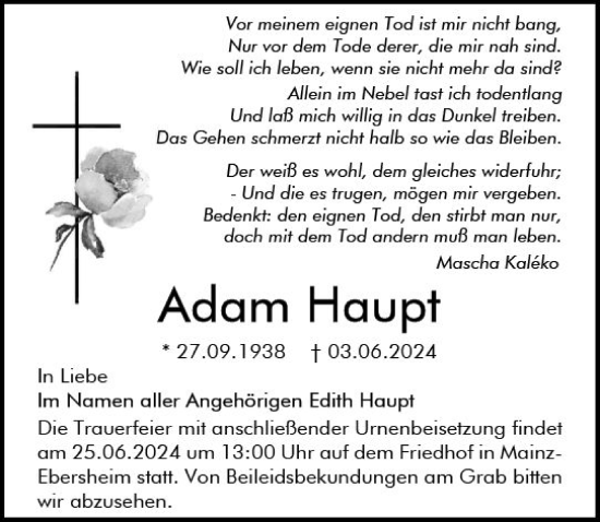 Traueranzeige von Adam Haupt von Allgemeine Zeitung Mainz