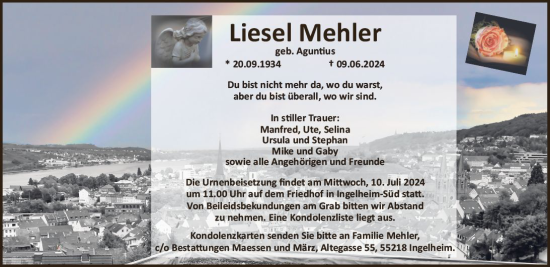 Traueranzeige von Liesel Mehler von Allgemeine Zeitung Bingen/Ingelheim