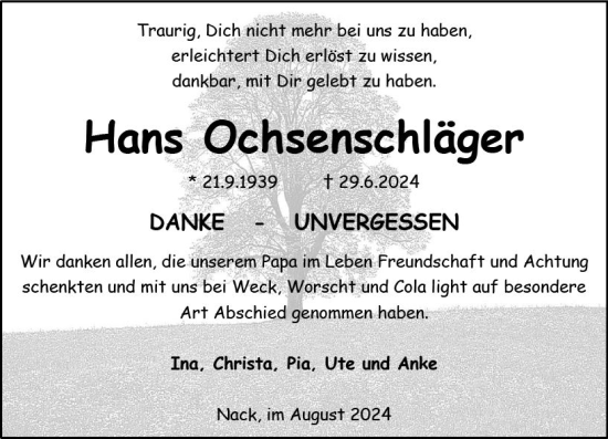 Traueranzeige von Hans Ochsenschläger von Allgemeine Zeitung Alzey
