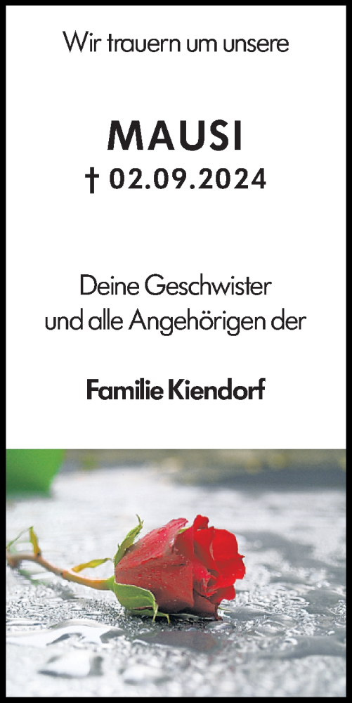 Traueranzeige von Mausi  von Darmstädter Echo
