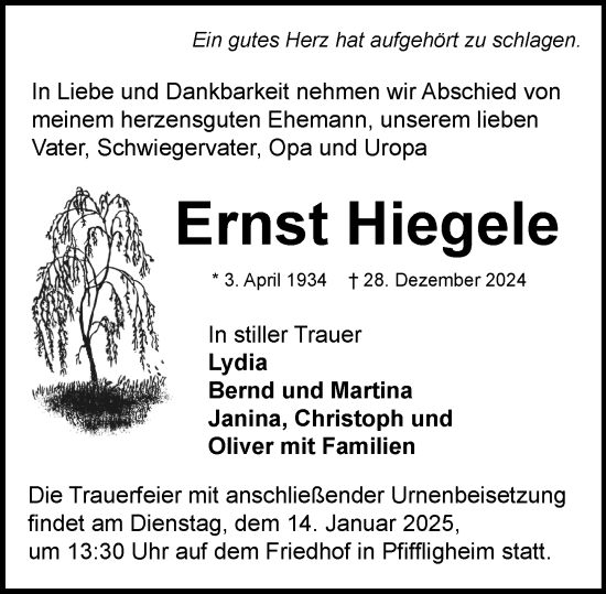 Traueranzeige von Ernst Hiegelen von Wormser Zeitung