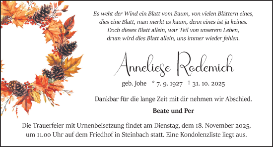 Traueranzeige von Anneliese Rodemich von Odenwälder Echo