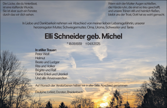 Traueranzeige von Elli Schneider von Hinterländer Anzeiger