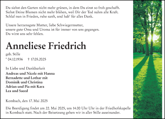 Traueranzeige von Anneliese Friedrich von Hinterländer Anzeiger