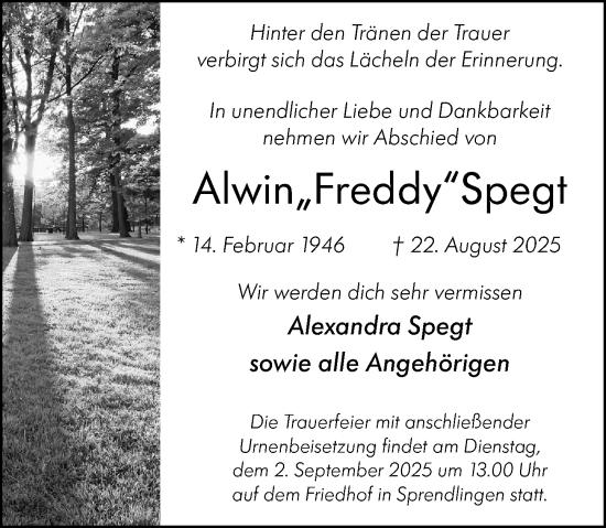 Traueranzeige von Alwin Spegt von Binger-/Ingelheimer Wochenblatt