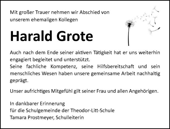 Traueranzeige von Harald Grote von Odenwälder Echo