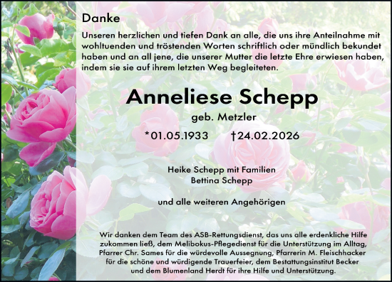 Traueranzeige von Anneliese Schepp von Darmstädter Echo