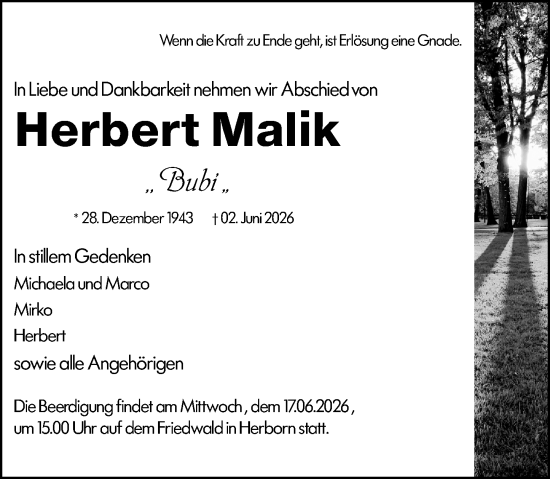 Traueranzeige von Herbert Malik von Dill Block