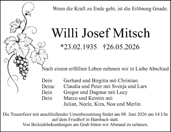 Traueranzeige von Willi Josef Mitsch von Starkenburger Echo