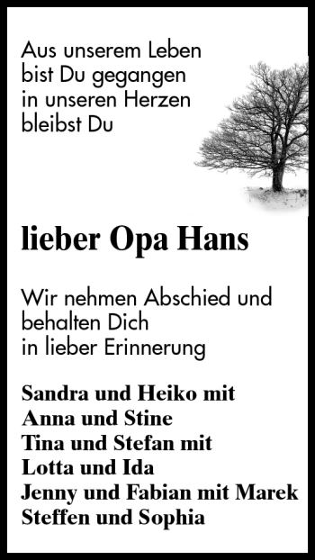 Traueranzeige von Hans - von Odenwälder Echo