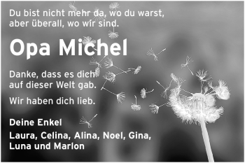 Traueranzeige von Michael Faulhaber von Odenwälder Echo