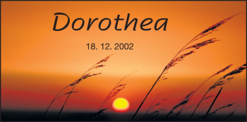 Traueranzeige von Dorothea  von Darmstädter Echo, Odenwälder Echo, Rüsselsheimer Echo, Groß-Gerauer-Echo, Ried Echo