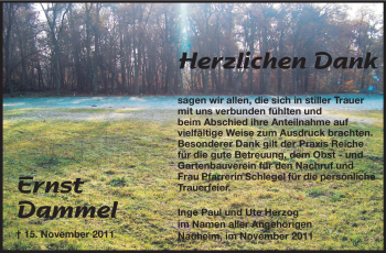 Traueranzeige von Ernst Dammel von Rüsselsheimer Echo, Groß-Gerauer-Echo, Ried Echo
