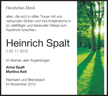 Traueranzeige von Heinz Spalt von Darmstädter Echo