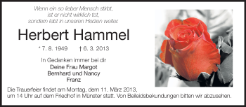 Traueranzeige von Herbert Hammel von Echo-Zeitungen (Gesamtausgabe)