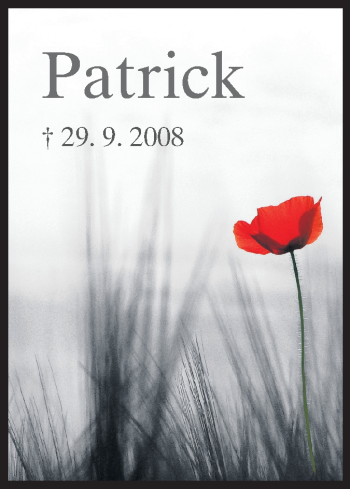 Traueranzeige von Patrick Settergren von Echo-Zeitungen (Gesamtausgabe)