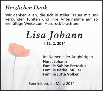 Traueranzeige von Lisa Johann von Odenwälder Echo