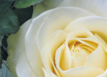 Traueranzeige von Walter Krämer von Trauerportal Echo Online