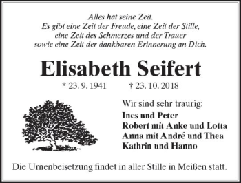 Traueranzeige von Elisabeth Seifert von  Kreisanzeiger