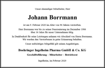 Traueranzeige von Johann Borrmann von vrm-trauer