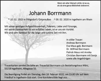 Traueranzeige von Johann Borrmann von vrm-trauer