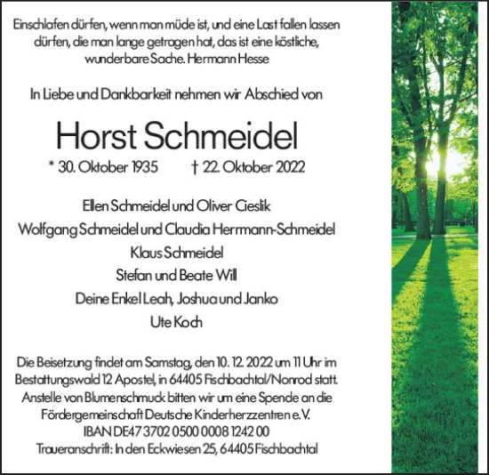Traueranzeige von Horst Schmeidel von vrm-trauer Odenwälder Echo