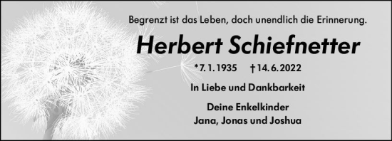 Traueranzeige von Hilde Schiefnetter von vrm-trauer Odenwälder Echo