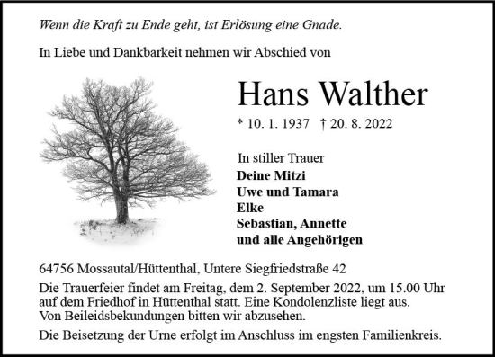 Traueranzeige von Hans Walther von vrm-trauer Odenwälder Echo