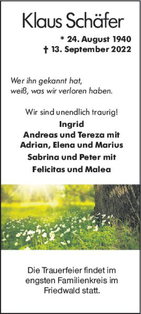 Traueranzeige von Klaus Schäfer von vrm-trauer Odenwälder Echo