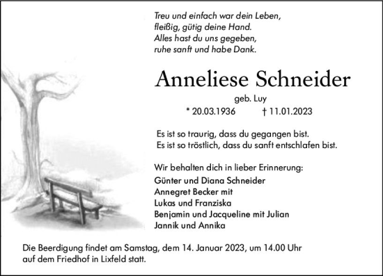 Traueranzeige von Anneliese Schneider von Hinterländer Anzeiger