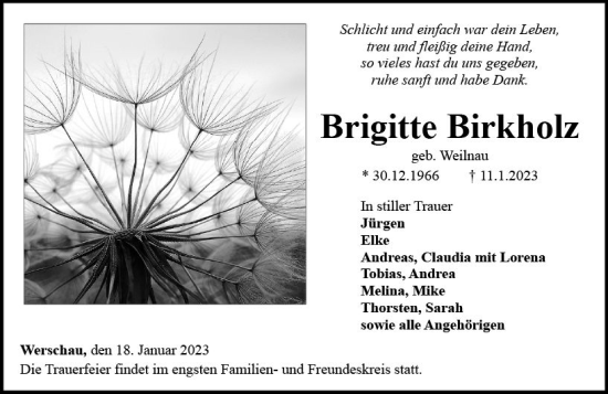 Traueranzeige von Brigitte Birkholz von Nassauische Neue Presse