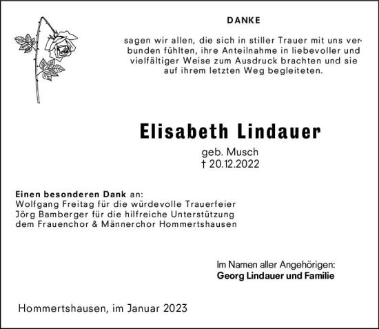 Traueranzeige von Elisabeth Lindauer von Hinterländer Anzeiger