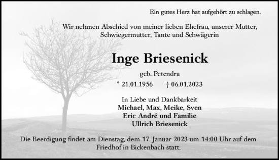 Traueranzeige von Inge Briesenick von Darmstädter Echo